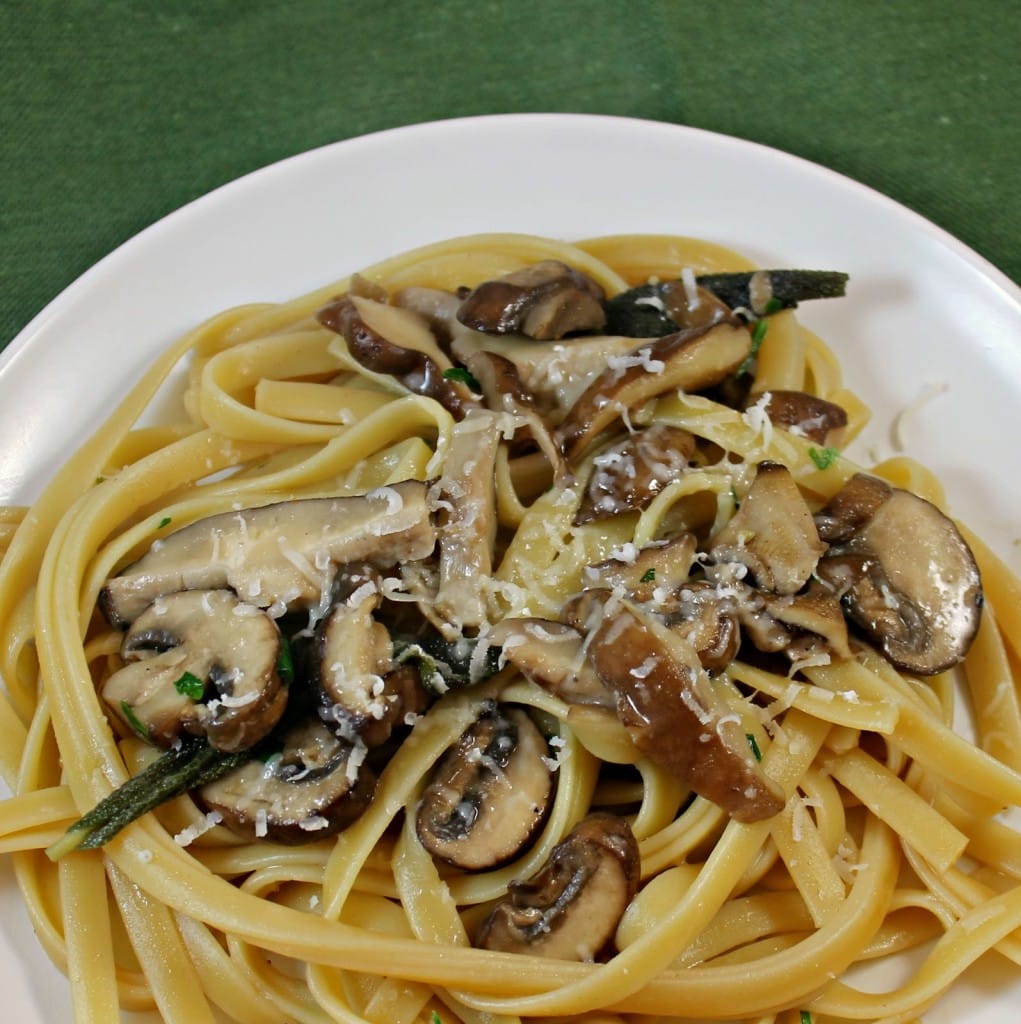 Pasta with Wild Mushroom Sauce Recipe | I Can Cook That
