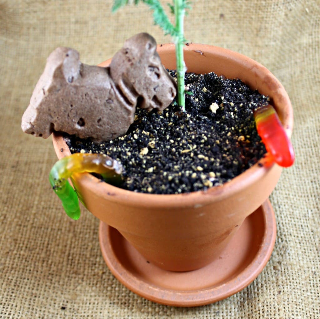 "Dirt" Flower Pots