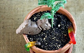 “Dirt” Flower Pots