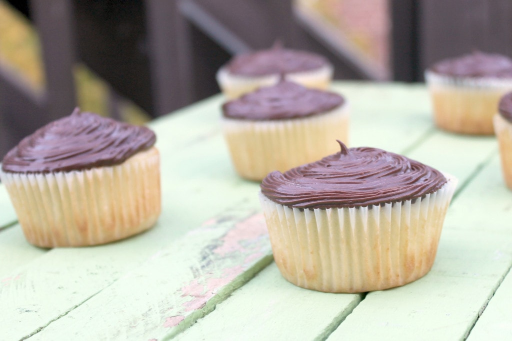 Gluten-Free Boston Cream Pie Cupcakes