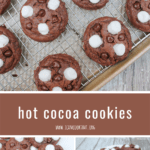 Hot Cocoa Cookies