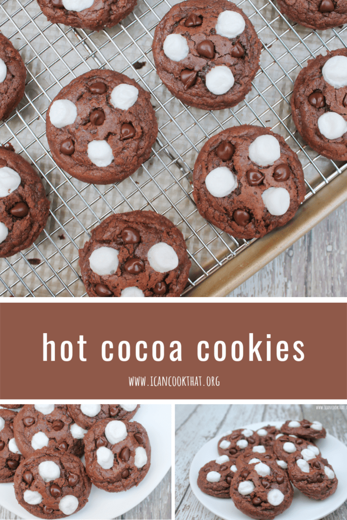 Hot Cocoa Cookies