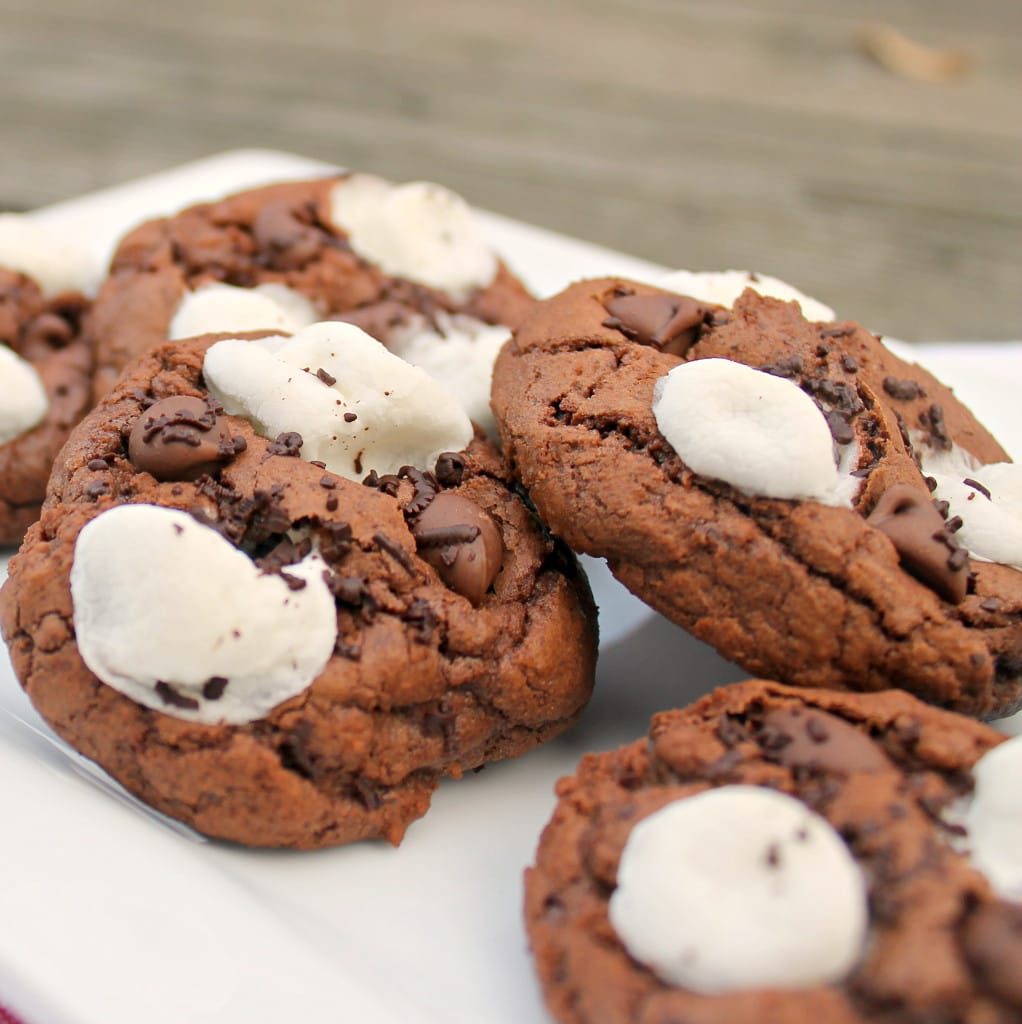 Hot Cocoa Cookies