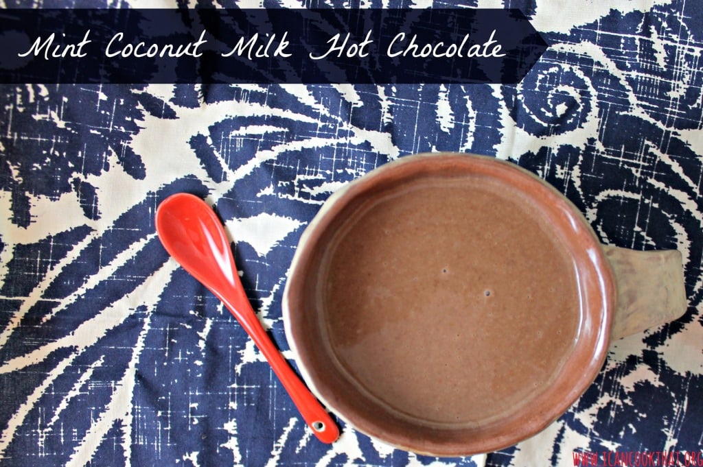 Spiked Mint Coconut Milk Hot Chocolate