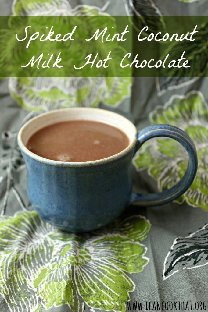 Spiked Mint Coconut Milk Hot Chocolate