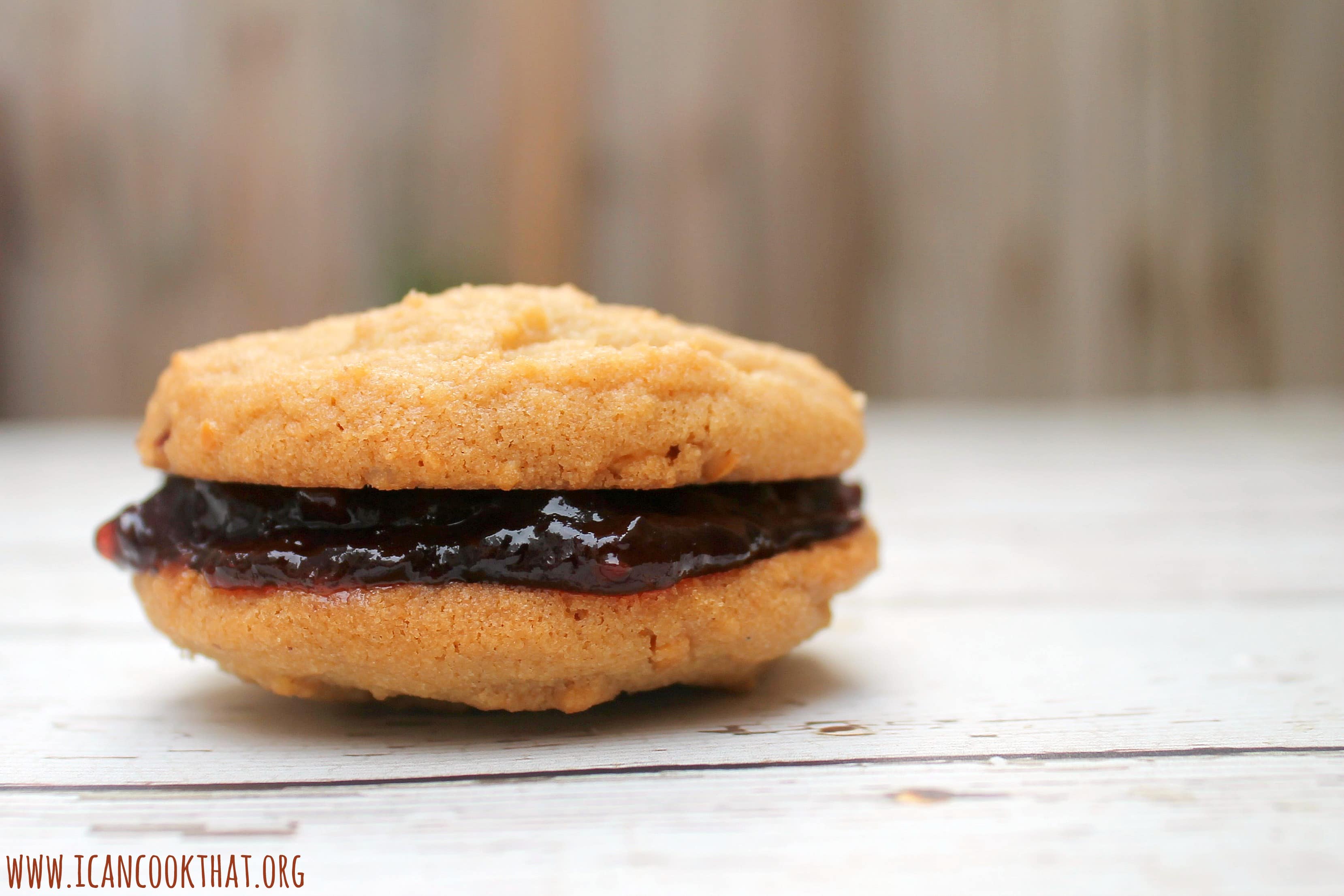 Peanut Butter and Jelly Sandwich Cookies