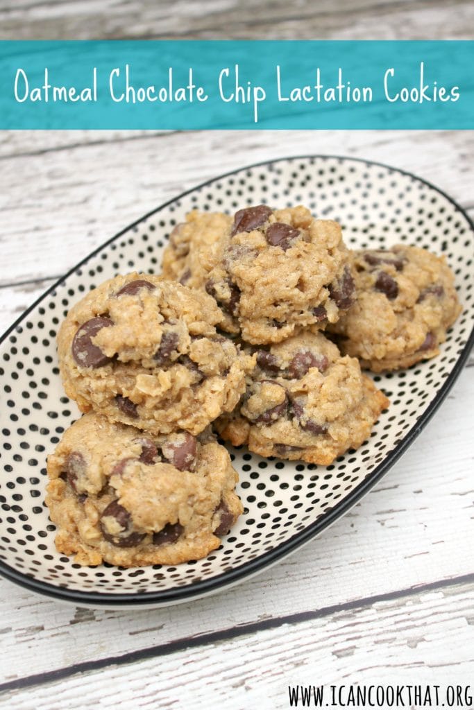 Oatmeal Chocolate Chip Lactation Cookies