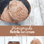 Homemade Nutella Ice Cream