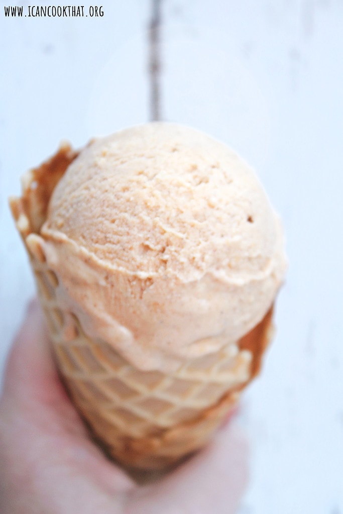 Homemade Pumpkin Ice Cream