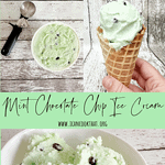 Homemade Mint Chocolate Chip Ice Cream