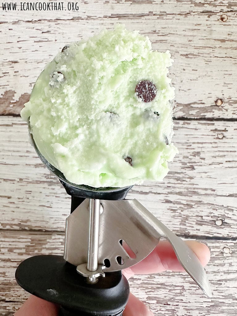 Homemade Mint Chocolate Chip Ice Cream