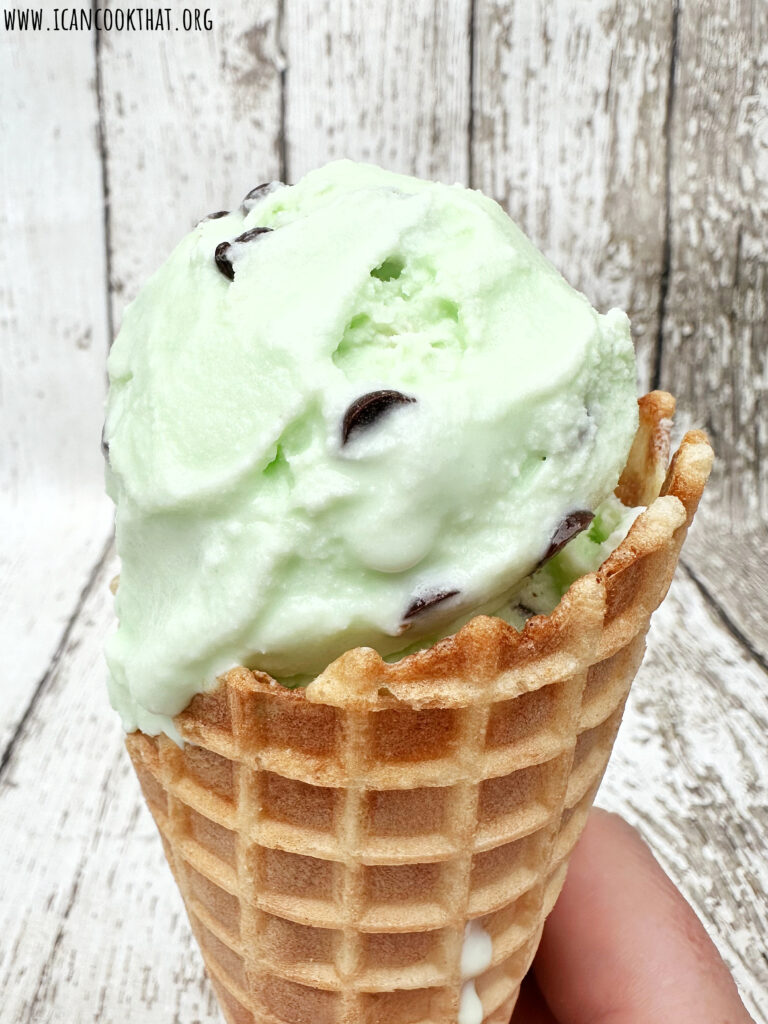 Homemade Mint Chocolate Chip Ice Cream