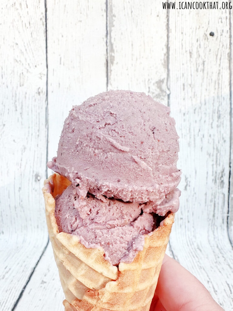 Homemade Blueberry Ice Cream