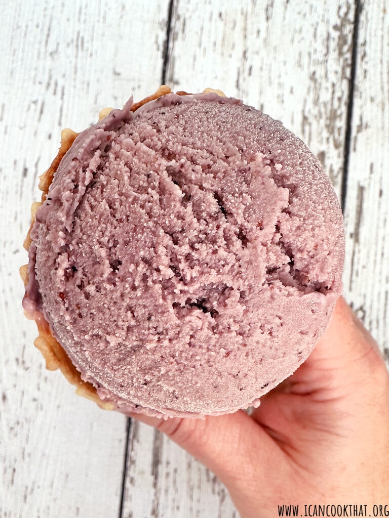 Homemade Blueberry Ice Cream