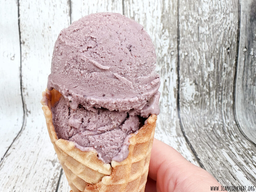 Homemade Blueberry Ice Cream